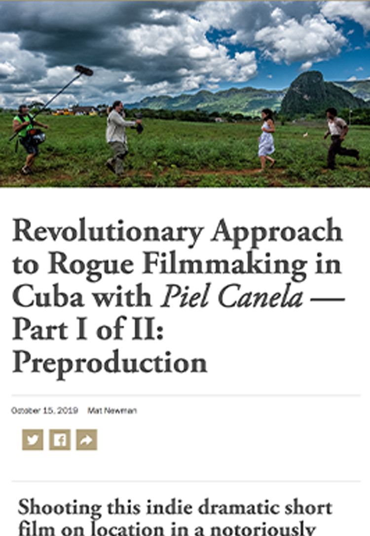 ARTICLE HEADER